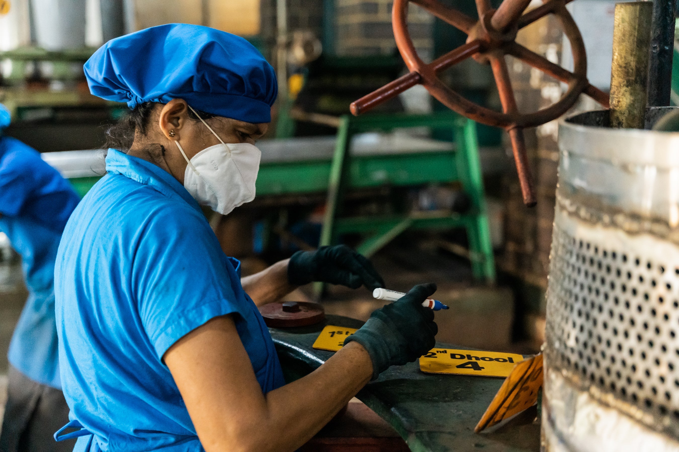 Rolling and Oxidation: The Heart of Ceylon Tea Character