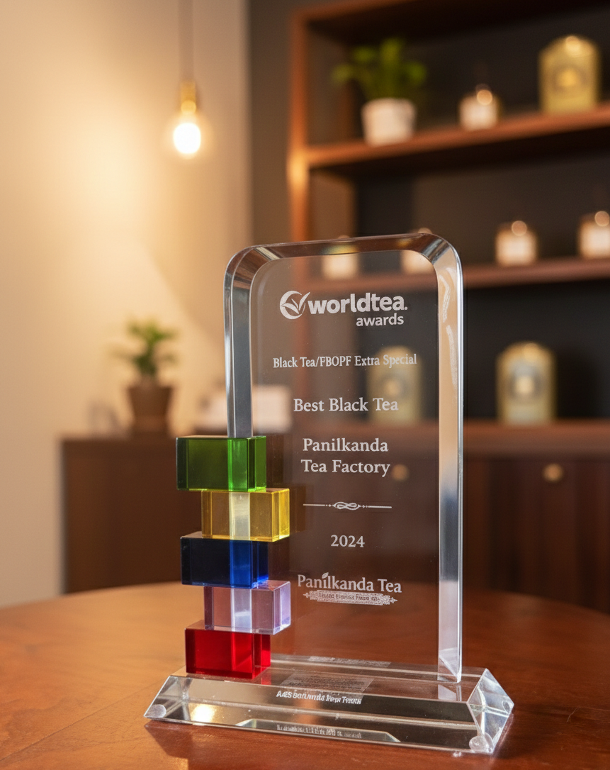 Best Black tea award at World Tea Expo 2024